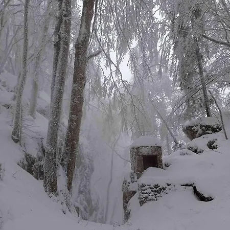 Gite Sechoir Du Nan Cognin-les-Gorges Buitenkant foto